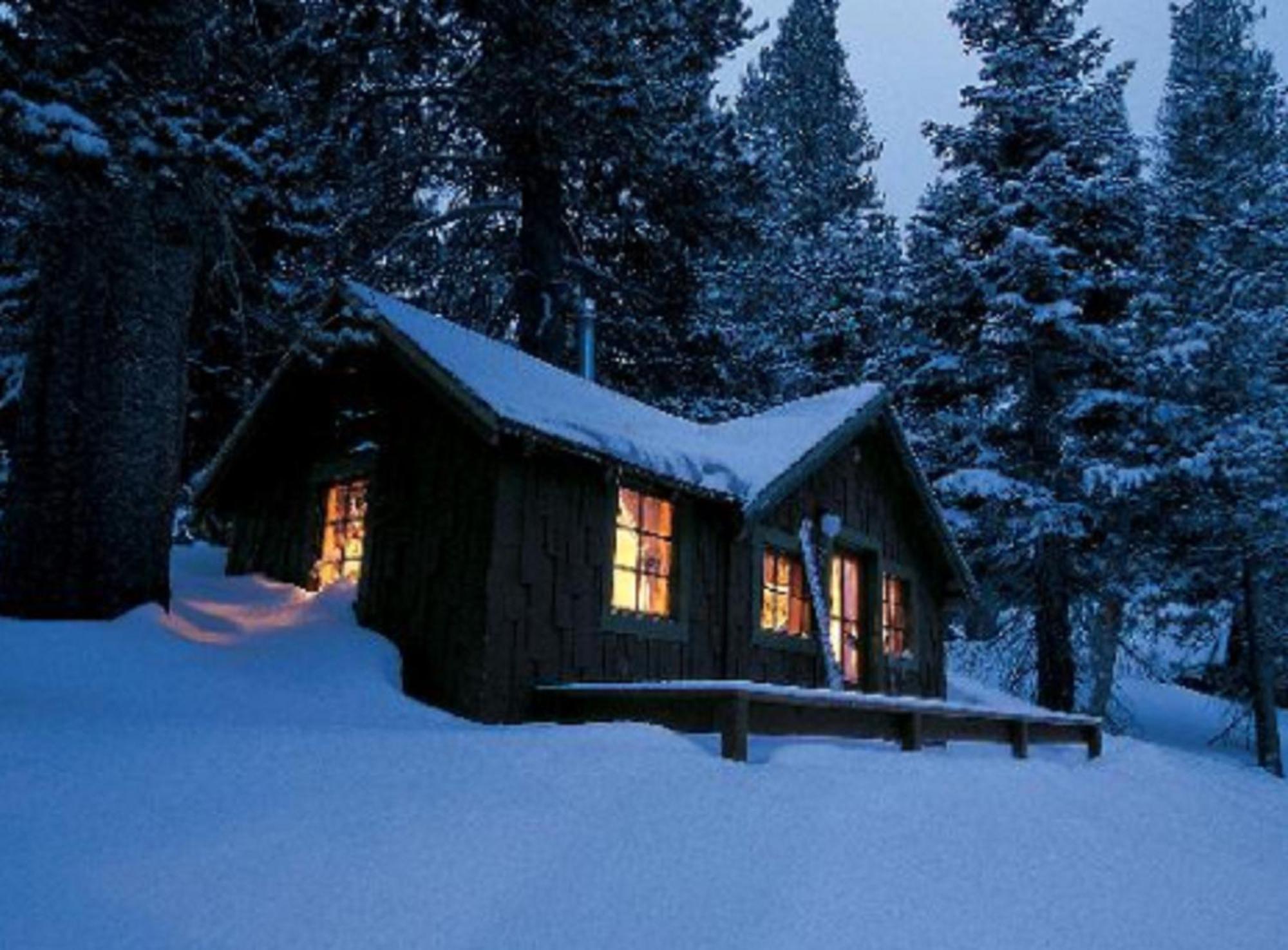 Tamarack