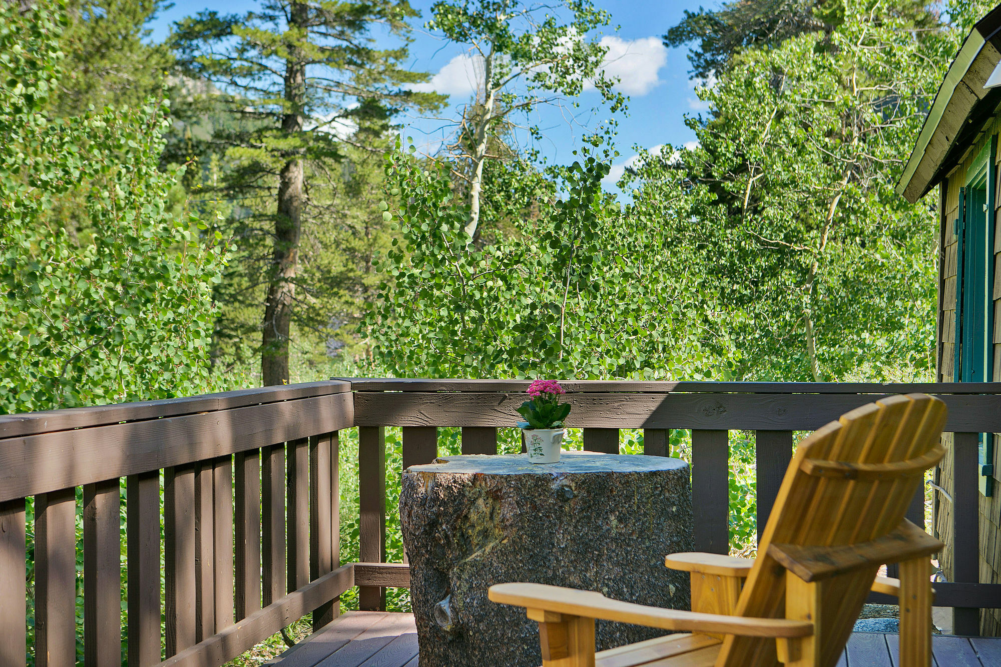 Tamarack 3*
